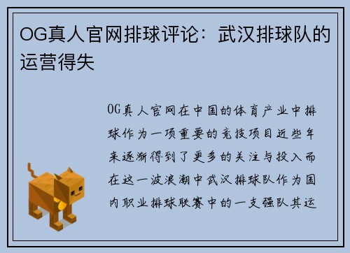 OG真人官网排球评论：武汉排球队的运营得失