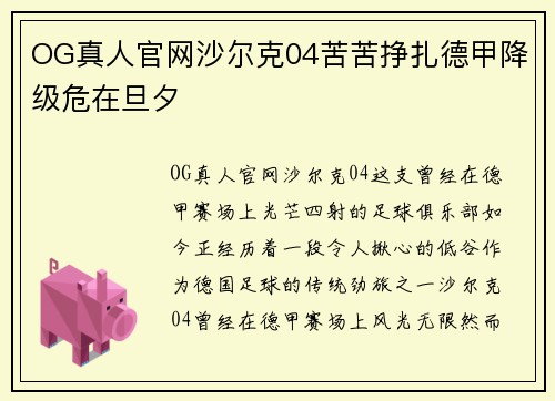 OG真人官网沙尔克04苦苦挣扎德甲降级危在旦夕
